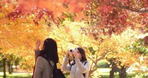 Bảo hiểm du lịch Liberty đồng hành cùng hành trình Cung đường vàng 2025, giúp bạn an tâm khám phá Hàn Quốc, Nhật Bản, Trung Quốc trong mùa thu vàng rực rỡ. Với phạm vi bảo vệ toàn diện, chi trả chi phí y tế và hỗ trợ khẩn cấp 24/7, bảo hiểm tour Liberty giúp bạn giảm thiểu rủi ro và tận hưởng chuyến đi trọn vẹn.